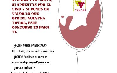 II CONCURSO DE CARTA DE VINOS DOP CANGAS